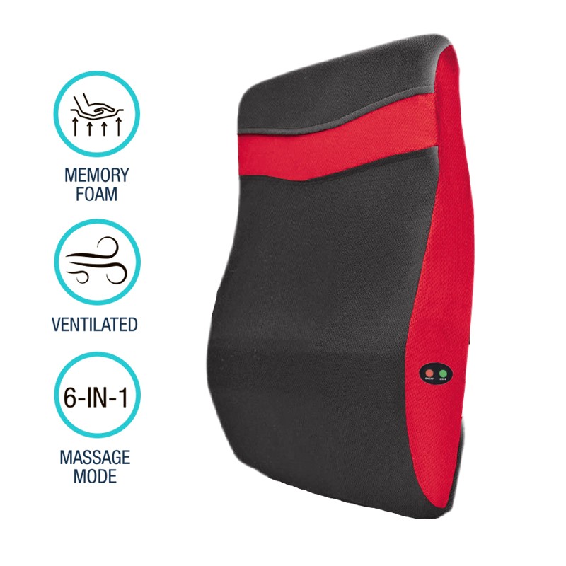 7712553Foam 2 Massage Models Lumbar Back Support Cushion