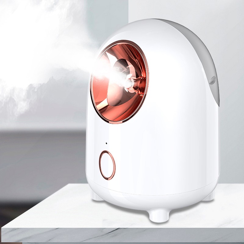 7703315  Ionic Face Humidifier