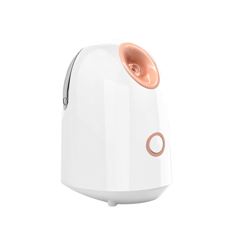 7703315  Ionic Face Humidifier