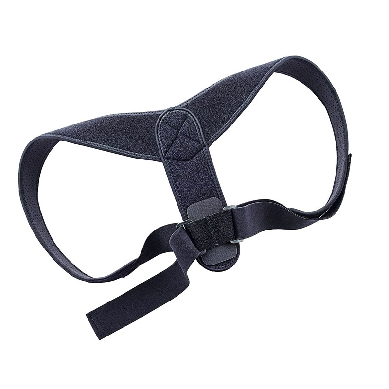 7703964 Adjustable Back Support